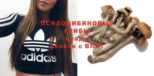 Альфа ПВП Алексеевка