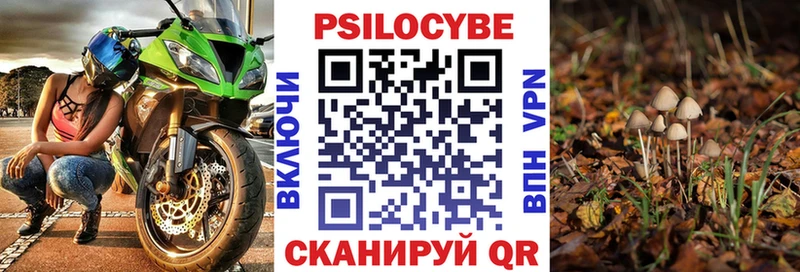 Псилоцибиновые грибы мицелий  Протвино 